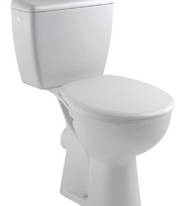 WC sur pied